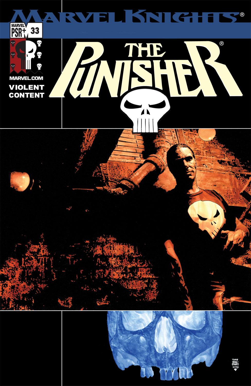 Punisher (2001) #33