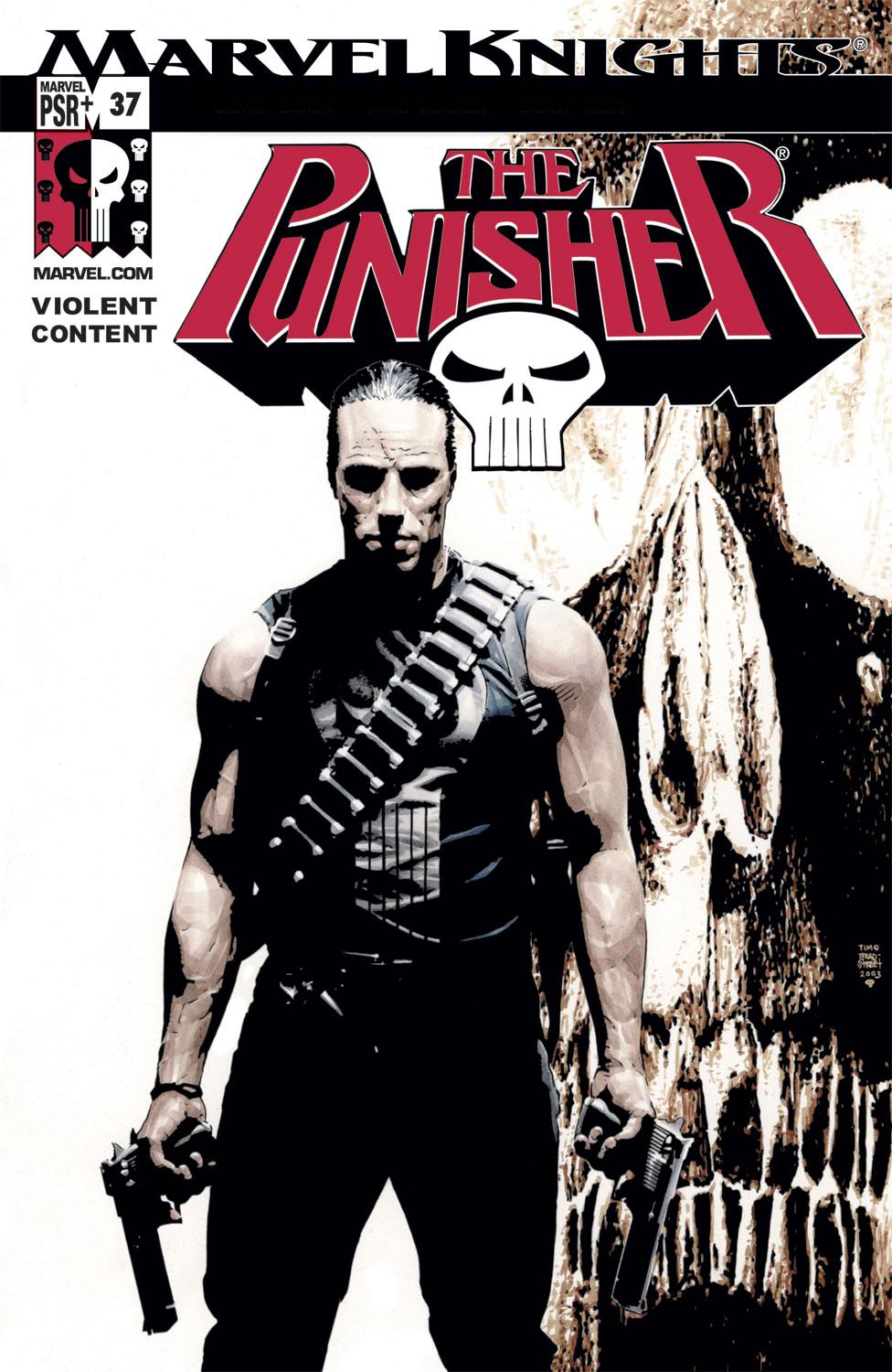 Punisher (2001) #37
