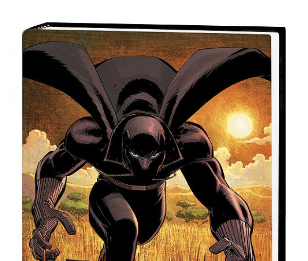 BLACK PANTHER: WHO IS THE BLACK PANTHER COVER