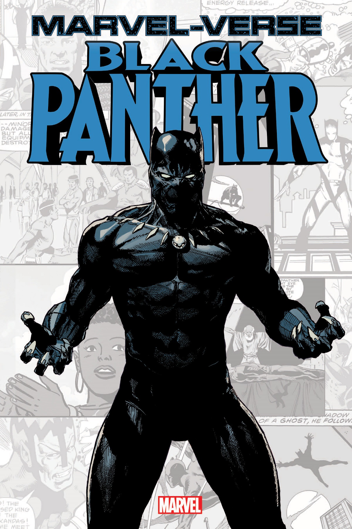 Marvel-Verse: Black Panther (Trade Paperback)