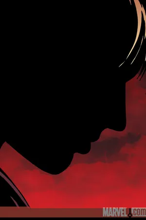 Powers (2004) #25 (Variant)