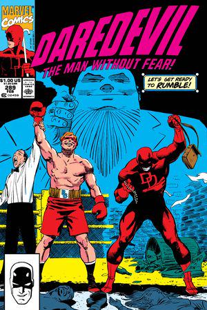 Daredevil (1964) #289