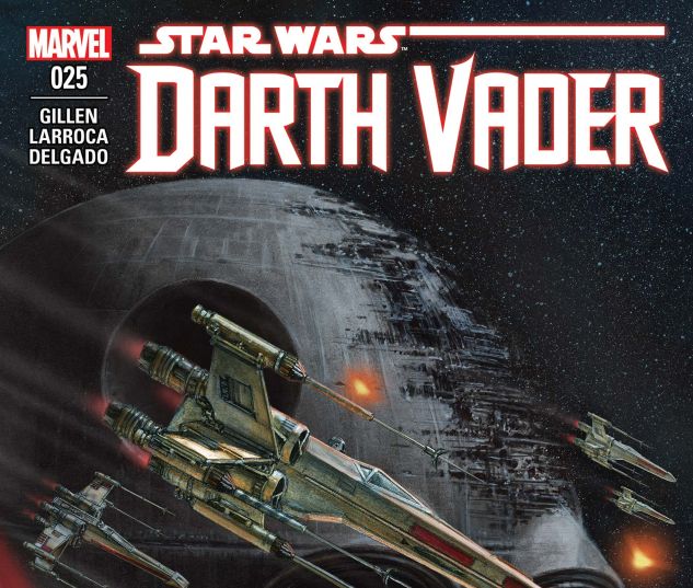 cover from Darth Vader (2015) #25
