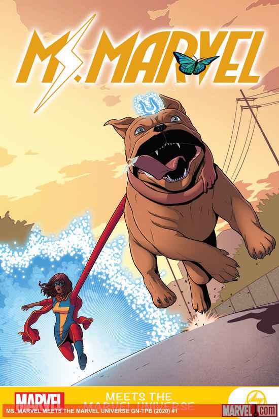 MS. MARVEL MEETS THE MARVEL UNIVERSE GN-TPB (Trade Paperback)