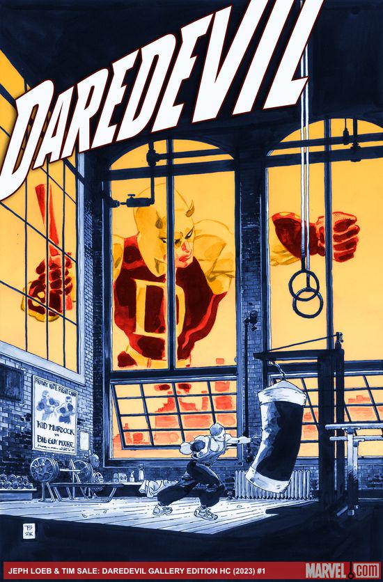 Jeph Loeb & Tim Sale: Daredevil Gallery (Hardcover)