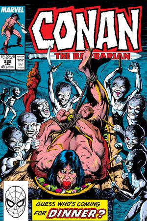 Conan the Barbarian (1970) #228