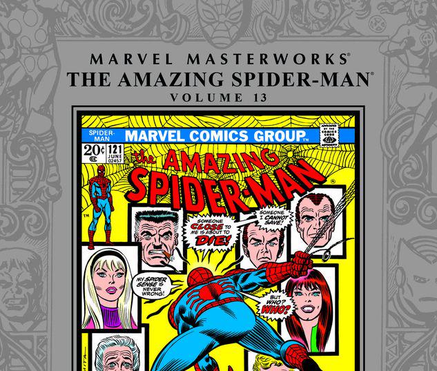 MARVEL MASTERWORKS: THE AMAZING SPIDER-MAN VOL. 13 HC #13