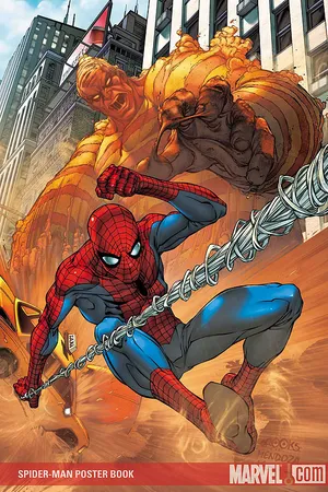 Spider-Man Poster (2007) #1