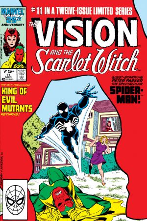 Vision and the Scarlet Witch #8 - Demon Busters (8.0) 1986  Comic Books -  Copper Age, Marvel, Scarlet Witch, Superhero / HipComic