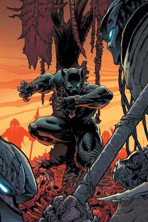Predator Vs. Black Panther (2024) #1 (Variant)
