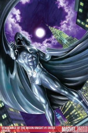 Vengeance of the Moon Knight (2009) #1 (ROSS COVER)