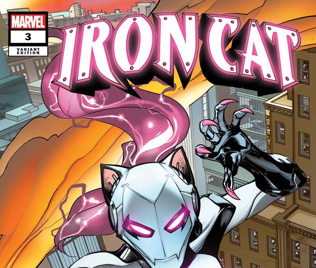 Iron Cat #3