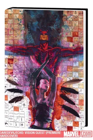Daredevil/Echo: Vision Quest (Trade Paperback)