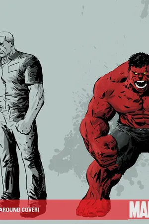 Hulk (2008) #25 (HARDMAN WRAPAROUND COVER)