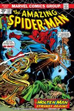 The Amazing Spider-Man (1963) #132