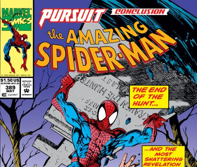 Amazing Spider-Man (1963) #389 Cover