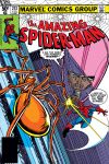 Amazing Spider-Man (1963) #213 Cover