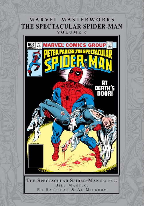 Marvel Masterworks: The Spectacular Spider-Man Vol. 6 (Hardcover)