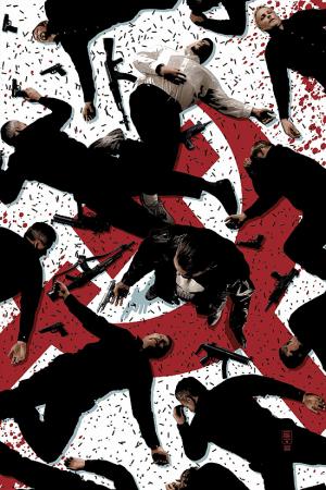 Punisher Max #17 
