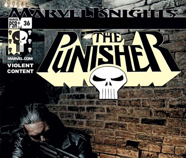 PUNISHER 36 cover