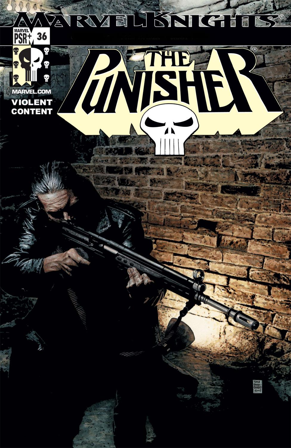 Punisher (2001) #36