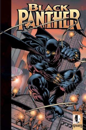 Black Panther Vol. II: Enemy of the State (Trade Paperback)