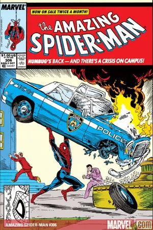 The Amazing Spider-Man (1963) #306