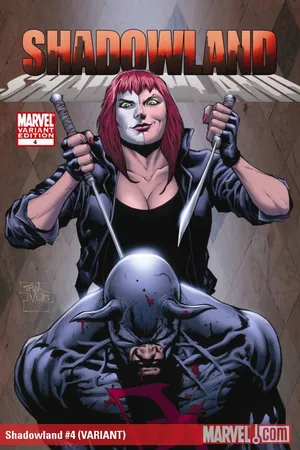 Shadowland (2010) #4 (VARIANT)