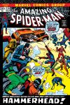 Amazing Spider-Man (1963) #114