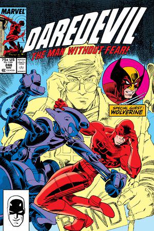 Daredevil (1964) #248