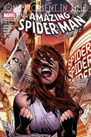 Amazing Spider-Man #639  (VARIANT)