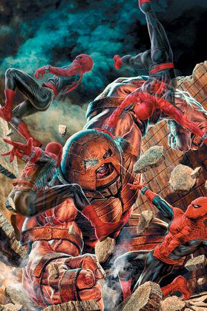 The Amazing Spider-Man (2025) #20 (Variant)