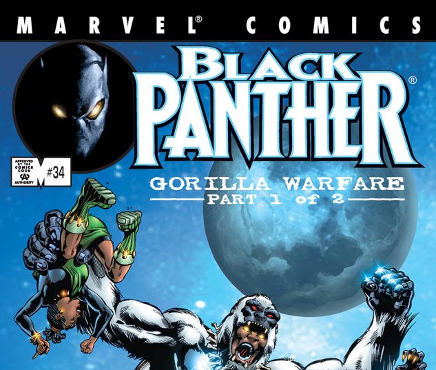Black Panther (1998) #34