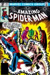 Amazing Spider-Man (1963) #215 Cover