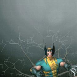 Wolverine: Flies to a Spider