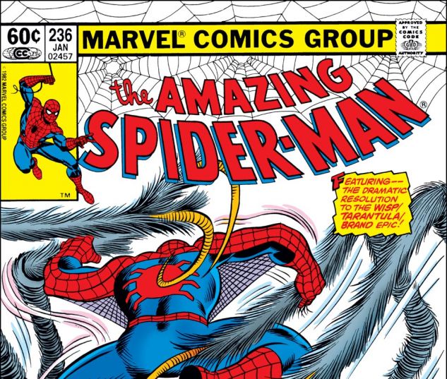 Amazing Spider-Man (1963) #236 Cover