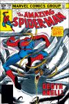 Amazing Spider-Man (1963) #236 Cover