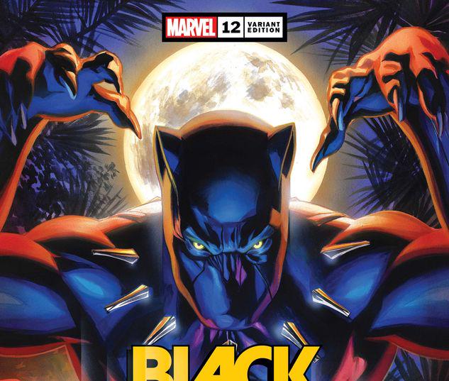 Black Panther #12