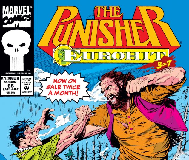 Cover for PUNISHER 66