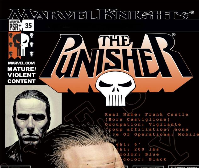 PUNISHER 35 cover