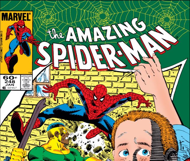 Amazing Spider-Man (1963) #248 Cover