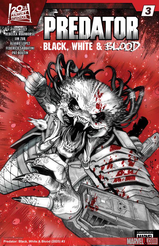 は*ー様 Predator BLACK2-3 detail.jpg