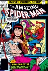 AMAZING SPIDER-MAN #178 COVER