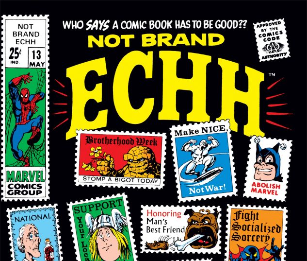Cover Not Brand Echh #13