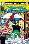 Amazing Spider-Man (1963) #212 Cover