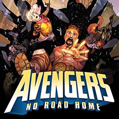Avengers No Road Home (2019)
